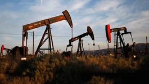 Dầu tăng nhẹ sau dự báo về sản lượng dầu tại Mỹ