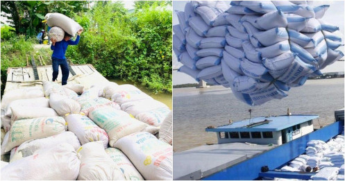 Indonesia tăng nhập khẩu 1,6 triệu tấn gạo: Cơ hội các nhà xuất khẩu gạo Việt Nam