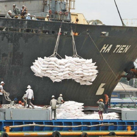 Việt Nam xuất khẩu gạo thứ 3 của thế giới: Cơ hội lớn để ngành lúa gạo