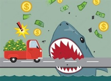 Theo dấu dòng tiền cá mập 01/03: Tự doanh và khối ngoại đồng loạt mua ròng