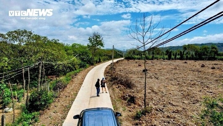 Trào lưu “bỏ phố về rừng” hạ nhiệt, đất giảm giá 30% cũng không ai mua