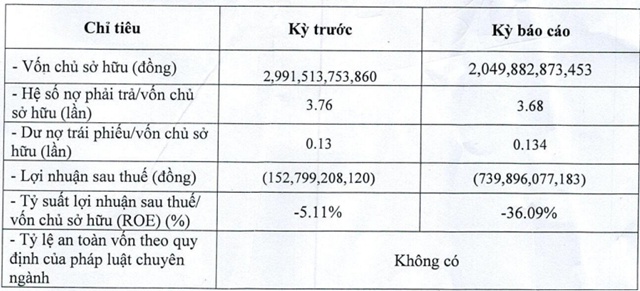 BB Power Holdings của đại gia năng lượng Vũ Quang Bảo lỗ 740 tỷ đồng năm 2023