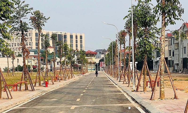 Đấu giá đất ngoại thành Hà Nội: Sôi động nhưng không có đột biến