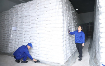 Lựa chọn nhà thầu thực hiện 196 gói thầu, mua 220.000 tấn gạo nhập kho dự trữ -