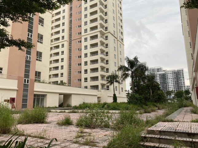 Bán đấu giá 3.790 căn hộ tái định cư ở TPHCM lại bế tắc