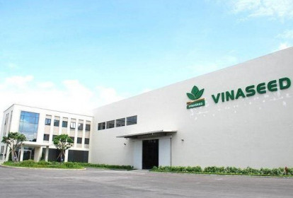 Chiều tăng trưởng tích cực tại Vinaseed ngay trong quý đầu năm 2024