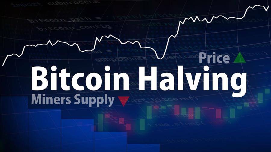 Sau sự kiện "giảm một nửa", thị trường Bitcoin biến động như thế nào?