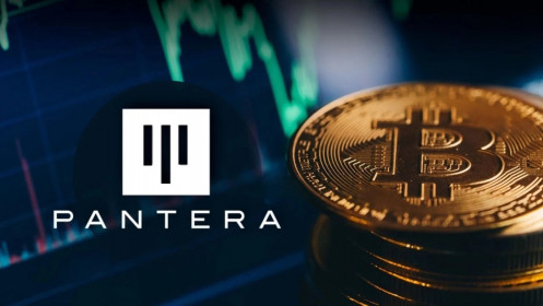 Pantera Capital đang huy động 1 tỷ USD lập quỹ đầu tư crypto mới