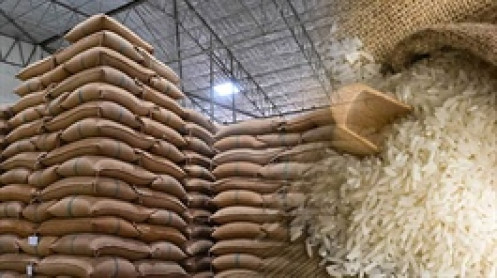 Ấn Độ có thể cân nhắc gỡ lệnh cấm xuất khẩu gạo