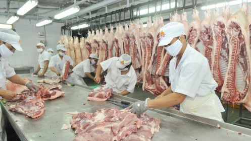 Thịt lợn tăng giá, cổ phiếu chăn nuôi 'đua trần'