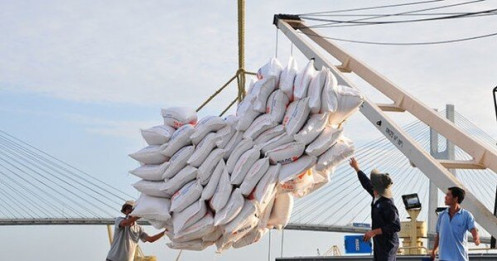 Doanh nghiệp xuất khẩu gạo trúng thầu nhiều lô hàng lớn vẫn… thua lỗ
