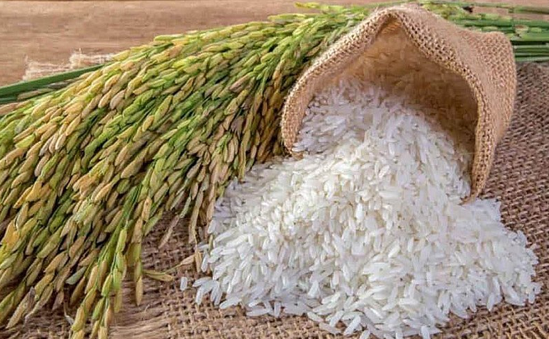 Nhiều dư địa tăng trưởng xuất khẩu gạo sang EU