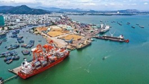 Cảng Quy Nhơn duyệt chi gần 49 tỷ đồng cổ tức, 75% về "túi" Vinalines