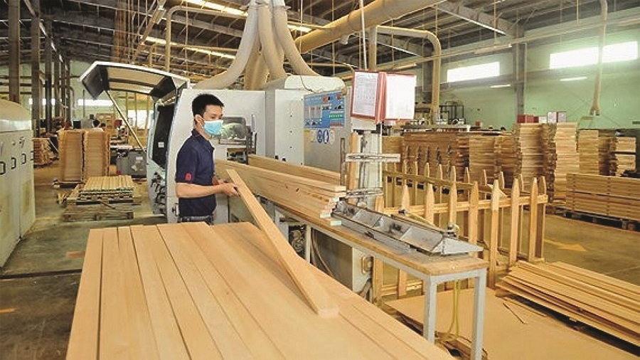 Tăng trưởng tích cực từ xuất khẩu gỗ và những kỳ vọng