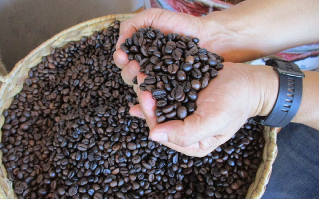 Xuất khẩu cà phê năm nay có "cầm chắc" 5 tỷ USD?