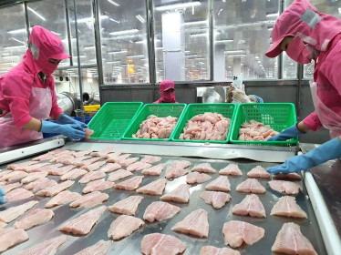 Giá xuất khẩu cá tra Việt Nam sẽ tăng 10% trong quí 3-2024