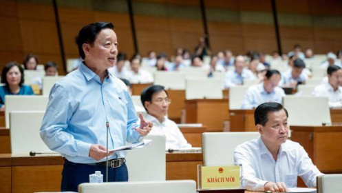 Phó Thủ tướng: Việt Nam nhất quyết không xuất khẩu đất hiếm thô
