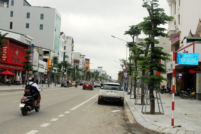 Nghệ An báo cáo gì sau yêu cầu rà soát các dự án cây xanh liên quan Cty Công Minh?
