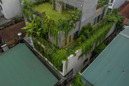 Chiêm ngưỡng nhà 4 tầng được bao bọc bởi rừng cây giữa Hà Nội