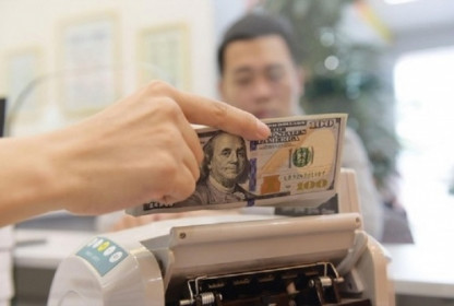 Chuyên gia: Việt Nam sẽ tiếp tục bớt áp lực tỷ giá