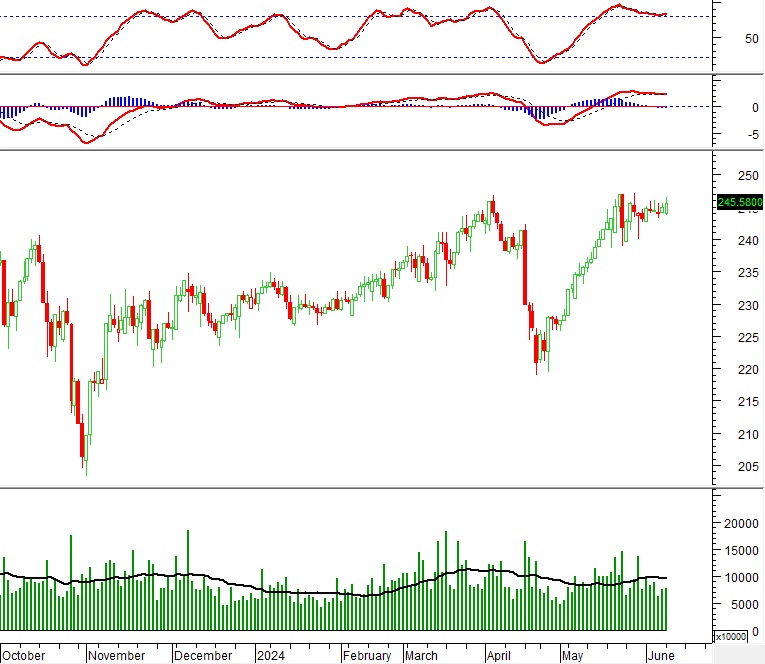 Vietstock Daily 11/06/2024: Tăng trong thận trọng