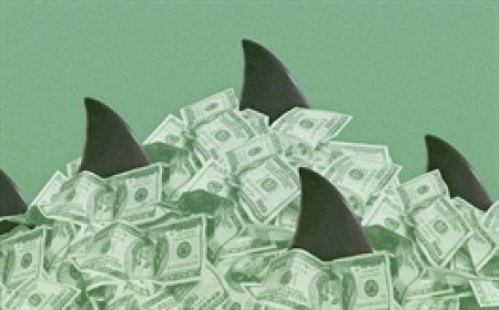 Theo dấu dòng tiền cá mập 11/06: Khối ngoại bán ròng gần 1,900 tỷ đồng, mạnh tay "chốt lãi" FPT