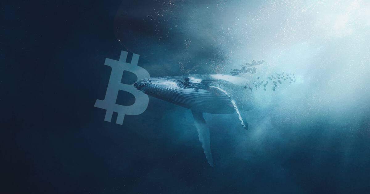 Ví cá voi chuyển hơn 536 triệu USD Bitcoin lên sàn Binance sau 5 năm “ngủ đông”