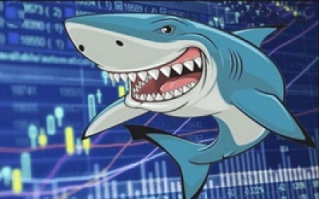 Theo dấu dòng tiền cá mập 24/06: Khối ngoại chưa dừng "xả" cổ phiếu FPT