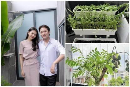 “Mỏi mắt” ngắm vườn rau xanh mướt trong nhà Phan Mạnh Quỳnh