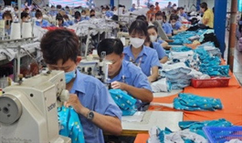 Lý do TCM đóng cửa xưởng may công suất 5 triệu sản phẩm ở Tây Ninh