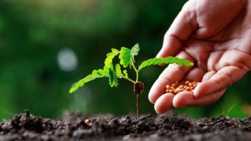 Đánh thuế VAT mặt hàng phân bón làm "nóng" nghị trường