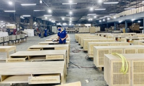 Doanh nghiệp gỗ đầu tiên giảm lãi trong 6 tháng đầu năm