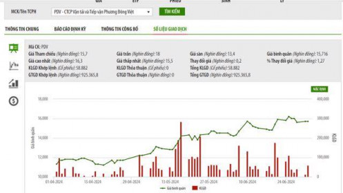 Thay đổi phương án sử dụng vốn, PDV bị phạt tiền và buộc phải khắc phục hậu quả