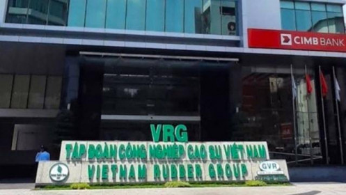 Vụ án Tập đoàn Cao su Việt Nam: Dừng giao dịch bất động sản của 11 cá nhân liên quan