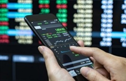 Điện lực TP.HCM lên tiếng về sự cố điện khiến kết nối HOSE bị gián đoạn