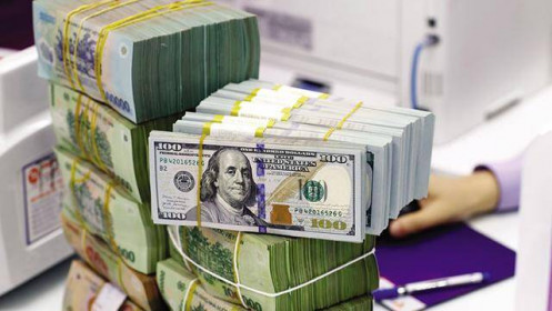 Tỷ giá tự do giảm mạnh, Ngân hàng Nhà nước hút ròng 21.083 tỷ đồng