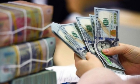 Ngân hàng Nhà nước: Bán ra hơn 162.000 tỷ đồng ngoai tệ để ổn định tỷ giá