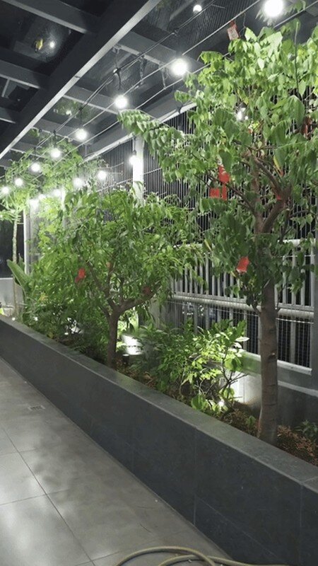 Cận cảnh penthouse 3 tầng có sân vườn xanh mướt của Ngô Kiến Huy