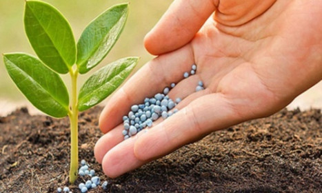 Cổ phiếu ngành Phân bón hấp dẫn dòng tiền - Vì đâu?