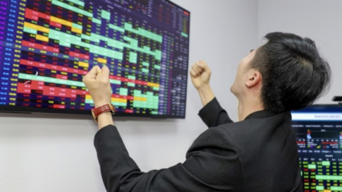 Mirae Asset điểm danh 5 nhóm ngành "hot" nhất 6 tháng cuối năm, VN-Index có thể lên 1.340 điểm