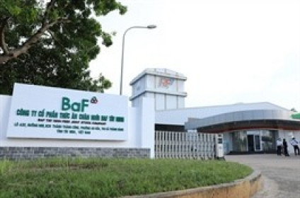 BAF xử lý hết hơn 68 triệu cp chào bán cho cổ đông hiện hữu