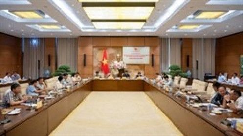 Phó Chủ tịch Quốc hội Nguyễn Đức Hải: Giá bất động sản đã vượt xa giá trị thực