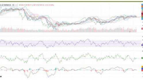 VN-Index sẽ còn nhiều phiên tăng giảm đan xen tích luỹ trở lại tại khu vực 1.250-1.260 điểm