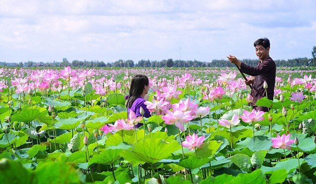 7 điểm du lịch "2 trong 1" ở Long An: Vừa chữa lành, vừa khám phá nét độc đáo miền sông nước