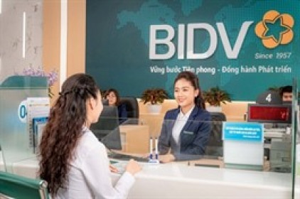 Tăng thu phi tín dụng, lãi trước thuế quý 2 BIDV tăng 17%