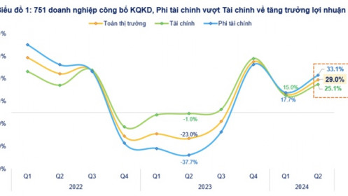 Cập nhật lợi nhuận quý 2/2024: Nhóm phi tài chính bất ngờ trỗi dậy tăng 33%