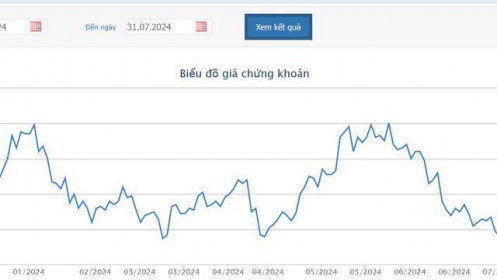 6 tháng đầu năm, HAG báo lãi tăng 32%, kỳ vọng từng bước xoá lỗ luỹ kế
