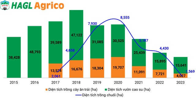 HNG: Hành trình từ vốn hóa tỷ USD đến hủy niêm yết