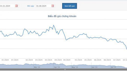 Cổ phiếu trong diện cảnh báo, Phó Chủ tịch CRE dự chi 35 tỷ mua cổ phiếu