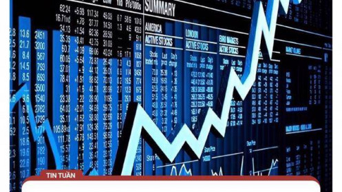 Bị lừa gần 3 tỷ đồng vì đầu tư tài chính online